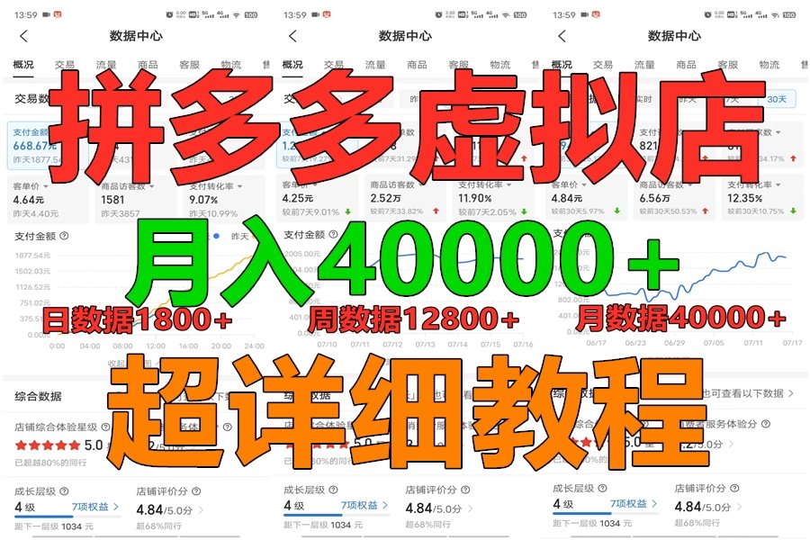 拼多多虚拟电商训练营月入40000+，全网最详细，你做你也行，暴利稳定长久-志拓网创