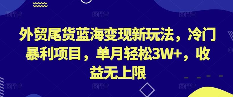 外贸尾货蓝海变现新玩法，冷门暴利项目，单月轻松3W+，收益无上限【揭秘】-志拓网创