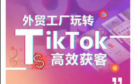 外贸工厂玩转TikTok高效获客，多种引流方式与账号定位技巧，拆解爆款短视频打造成功案例-志拓网创
