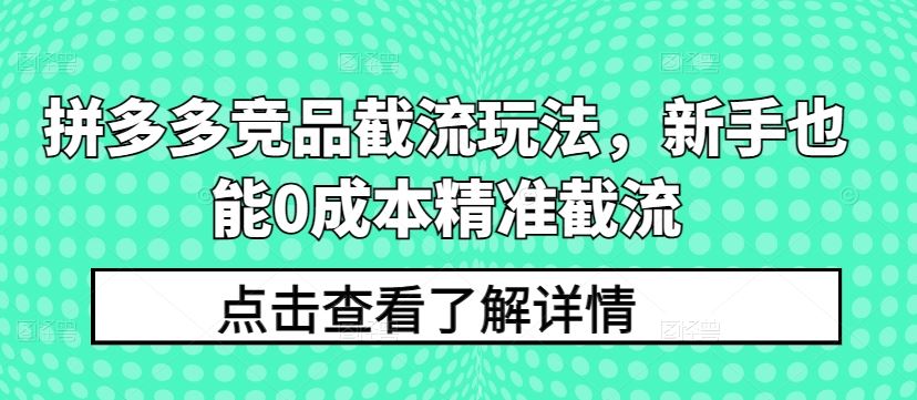 拼多多竞品截流玩法，新手也能0成本精准截流-志拓网创