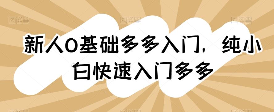 新人0基础多多入门，​纯小白快速入门多多-志拓网创