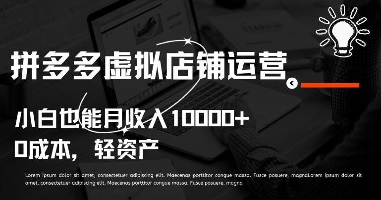 拼多多虚拟店铺运营小白也能月收入10000+【揭秘】-志拓网创