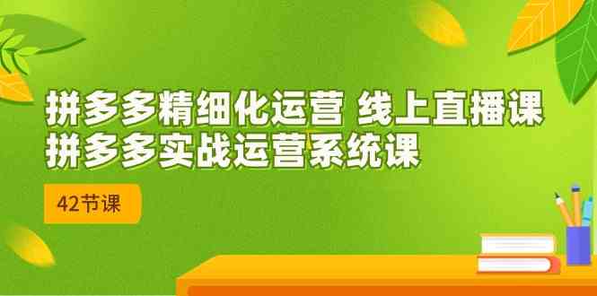 拼多多精细化运营 线上直播课：拼多多实战运营系统课（更新47节）-志拓网创