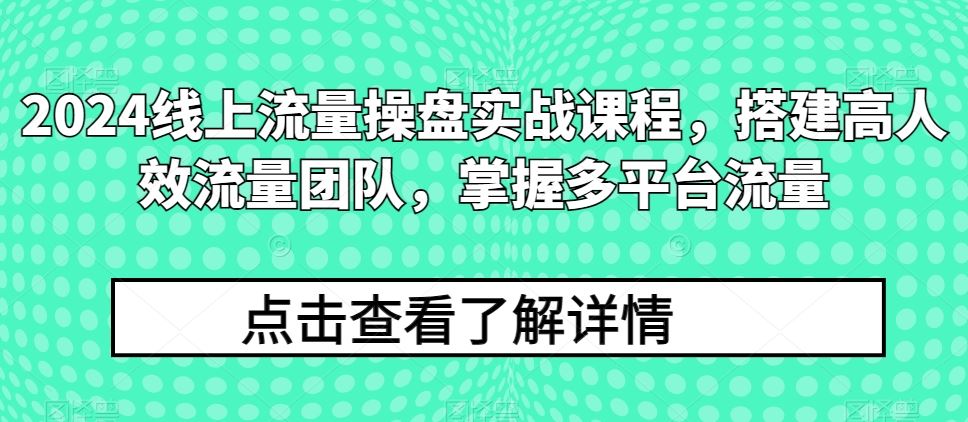 2024线上流量操盘实战课程，搭建高人效流量团队，掌握多平台流量-志拓网创