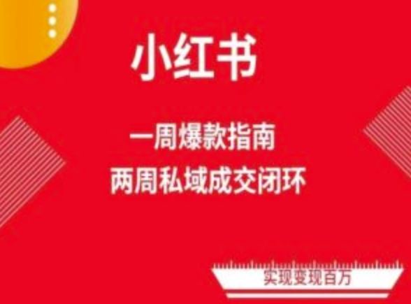 爆款小红书免费流量体系课程(两周变现)，小红书电商教程-志拓网创