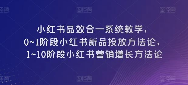 小红书品效合一系统教学，​0~1阶段小红书新品投放方法论，​1~10阶段小红书营销增长方法论-志拓网创