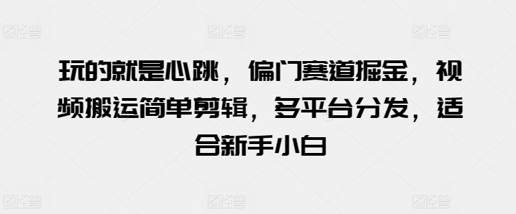 玩的就是心跳，偏门赛道掘金，视频搬运简单剪辑，多平台分发，适合新手小白【揭秘】-志拓网创