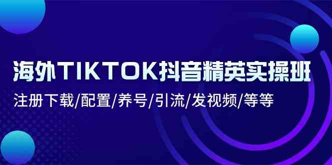 海外TIKTOK抖音精英实操班：注册下载/配置/养号/引流/发视频/等等-志拓网创