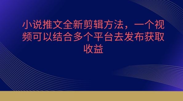 小说推文全新剪辑方法，一个视频可以结合多个平台去发布获取【揭秘】-志拓网创