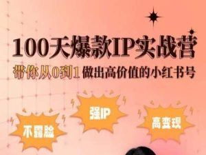 小红书100天爆款IP实战营，带你从0到1做出高价值的小红书号-志拓网创