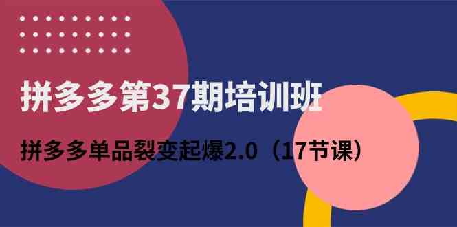 拼多多第37期培训班：拼多多单品裂变起爆2.0（17节课）-志拓网创