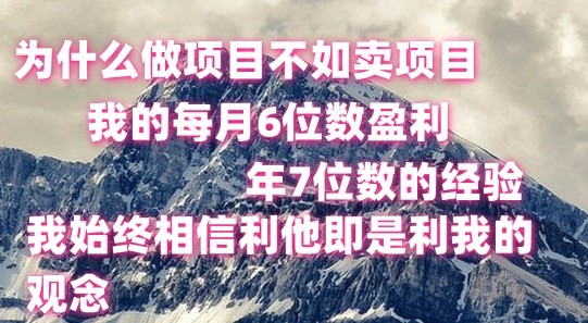 做项目不如卖项目，每月6位数盈利，年7位数经验-志拓网创