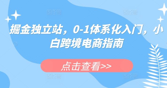 掘金独立站，0-1体系化入门，小白跨境电商指南-志拓网创