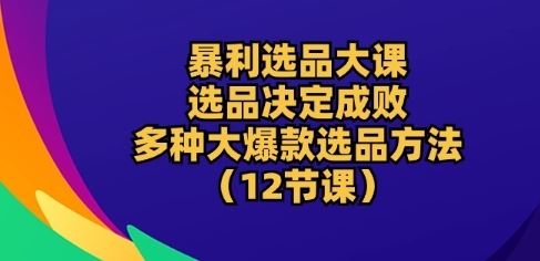 暴利选品大课：选品决定成败，教你多种大爆款选品方法(12节课)-志拓网创