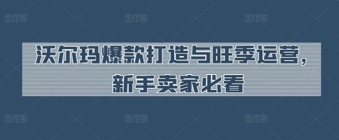 沃尔玛爆款打造与旺季运营，新手卖家必看-志拓网创