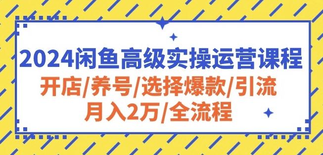 2024闲鱼高级实操运营课程：开店/养号/选择爆款/引流/月入2万/全流程-志拓网创