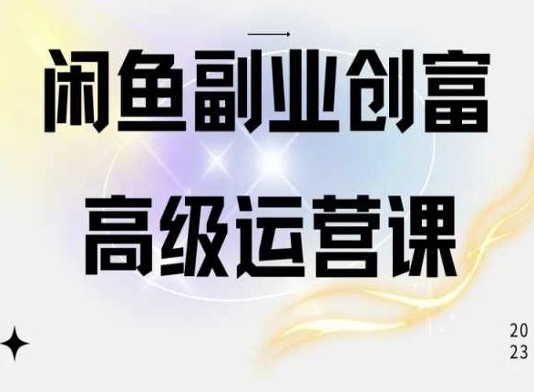 闲鱼电商运营高级课程，一部手机学会闲鱼开店赚钱-志拓网创