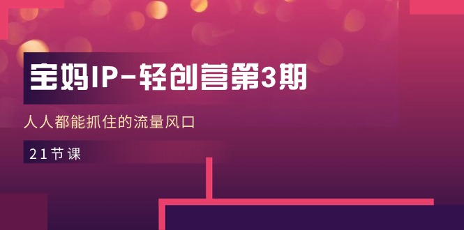 宝妈IP轻创营第3期，人人都能抓住的流量风口（21节课）-志拓网创