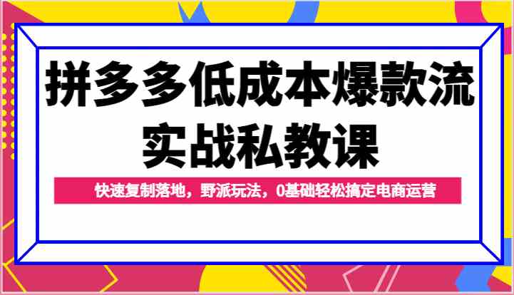拼多多低成本爆款流实战私教课，快速复制落地，野派玩法，0基础轻松搞定电商运营-志拓网创