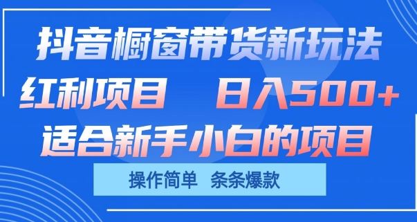 抖音橱窗带货新玩法，单日收益几张，操作简单，条条爆款【揭秘】-志拓网创