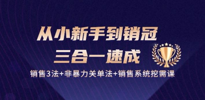 从小新手到销冠 三合一速成：销售3法+非暴力关单法+销售系统挖需课 (27节)-志拓网创