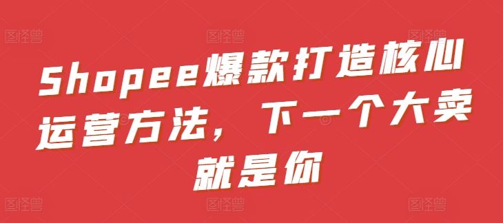 Shopee爆款打造核心运营方法，下一个大卖就是你-志拓网创