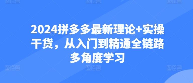 2024拼多多最新理论+实操干货，从入门到精通全链路多角度学习-志拓网创