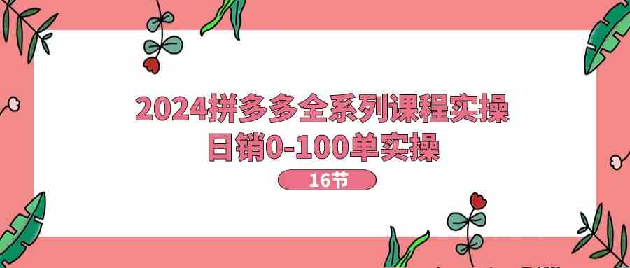2024拼多多全系列课程实操，日销0-100单实操【16节课】-志拓网创