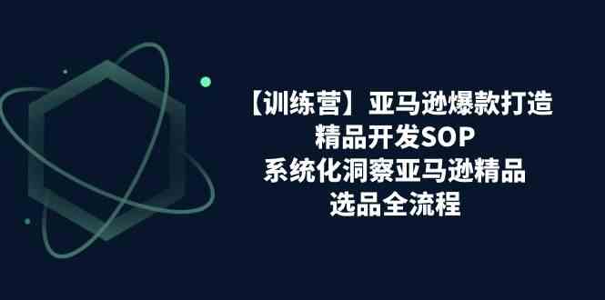 亚马逊爆款打造之精品开发SOP【训练营】，系统化洞察亚马逊精品选品全流程-志拓网创
