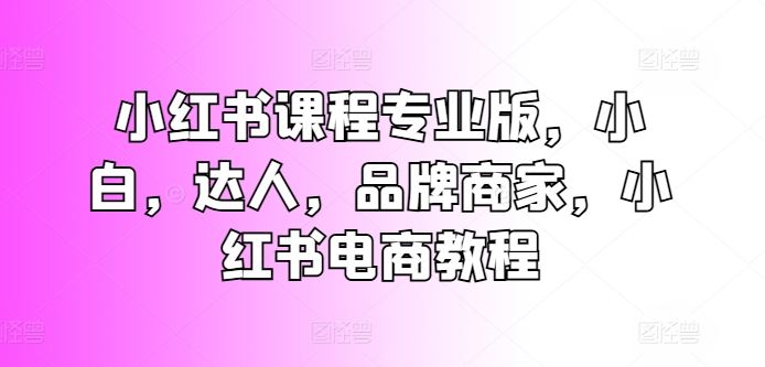 小红书课程专业版，小白，达人，品牌商家，小红书电商教程-志拓网创