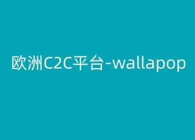 欧洲C2C平台-wallapop-kim跨境电商教程-志拓网创