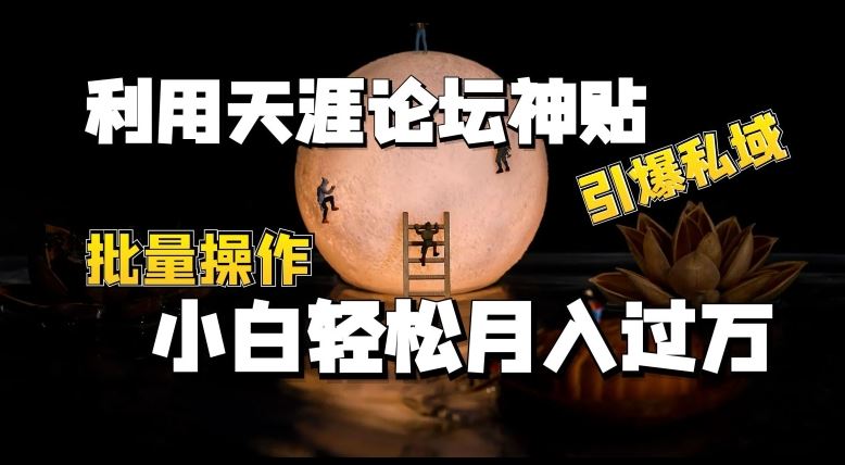 利用天涯论坛神贴，引爆私域，批量操作，小白轻松月入过w【揭秘】-志拓网创