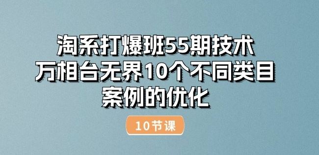 淘系打爆班55期技术：万相台无界10个不同类目案例的优化(10节)-志拓网创