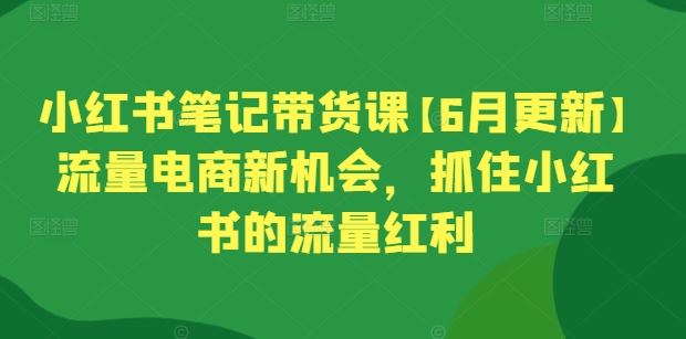 小红书笔记带货课【6月更新】流量电商新机会，抓住小红书的流量红利-志拓网创