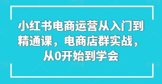 小红书电商运营从入门到精通课，电商店群实战，从0开始到学会-志拓网创
