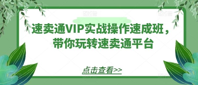 速卖通VIP实战操作速成班，带你玩转速卖通平台-志拓网创