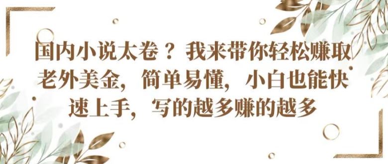 国内小说太卷 ?带你轻松赚取老外美金，简单易懂，小白也能快速上手，写的越多赚的越多【揭秘】-志拓网创