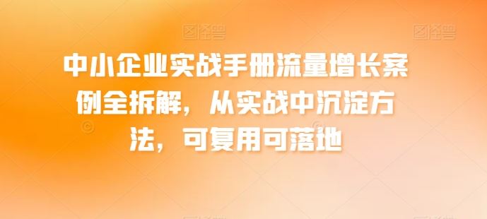 中小企业实战手册流量增长案例全拆解，从实战中沉淀方法，可复用可落地-志拓网创