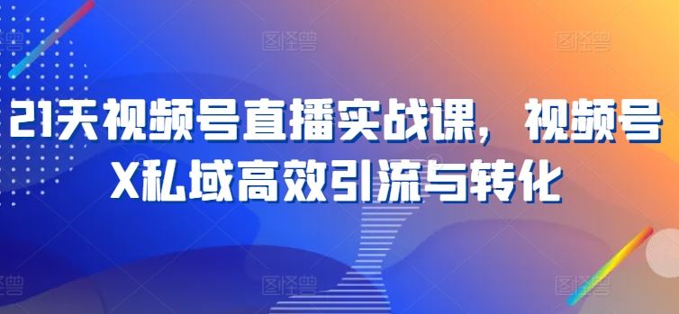 21天视频号直播实战课，视频号X私域高效引流与转化-志拓网创