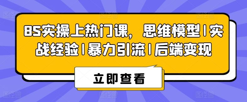 8S实操上热门课，思维模型|实战经验|暴力引流|后端变现-志拓网创