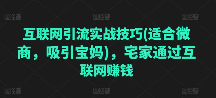 互联网引流实战技巧(适合微商，吸引宝妈)，宅家通过互联网赚钱-志拓网创