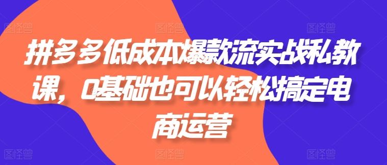 拼多多低成本爆款流实战私教课，0基础也可以轻松搞定电商运营-志拓网创