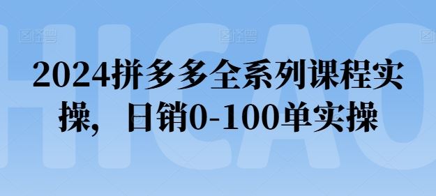 2024拼多多全系列课程实操，日销0-100单实操【必看】-志拓网创