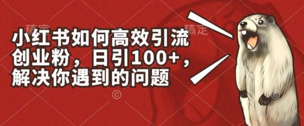 小红书如何高效引流创业粉，日引100+，解决你遇到的问题【揭秘】-志拓网创