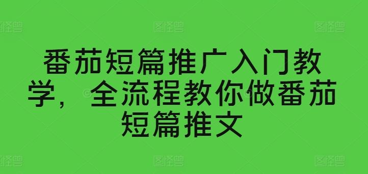 番茄短篇推广入门教学，全流程教你做番茄短篇推文-志拓网创