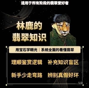 林鹿的翡翠知识，​用宝石眼光，系统全面的看懂翡翠-志拓网创
