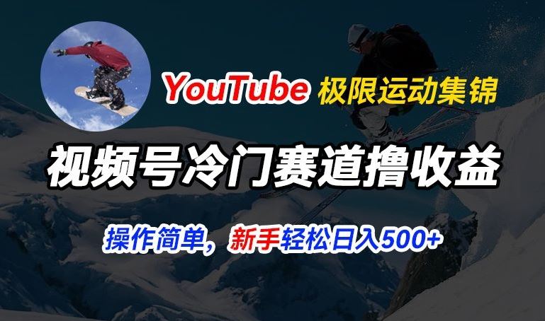视频号冷门赛道撸收益，YouTube搬运极限运动集锦，暴力起号，操作简单流量高，轻松日入5张【揭秘】-志拓网创