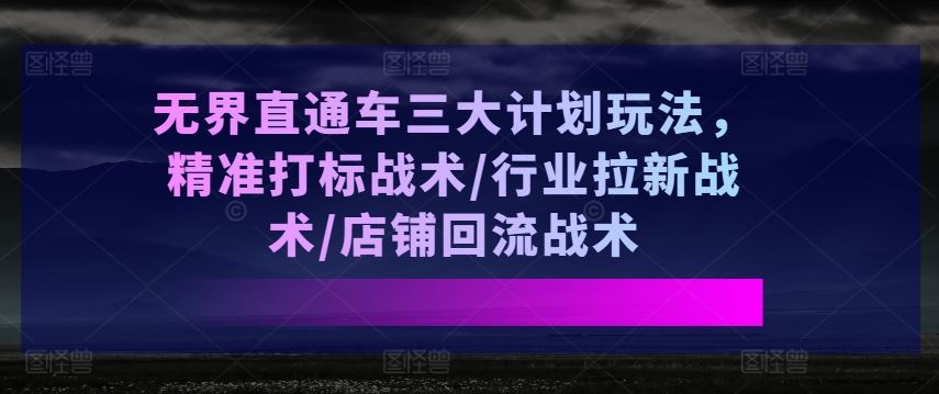 无界直通车三大计划玩法，精准打标战术/行业拉新战术/店铺回流战术-志拓网创