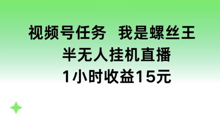 视频号任务，我是螺丝王， 半无人挂机1小时收益15元【揭秘】-志拓网创