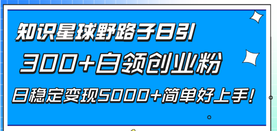 （8315期）知识星球野路子日引300+白领创业粉，日稳定变现5000+简单好上手！-志拓网创